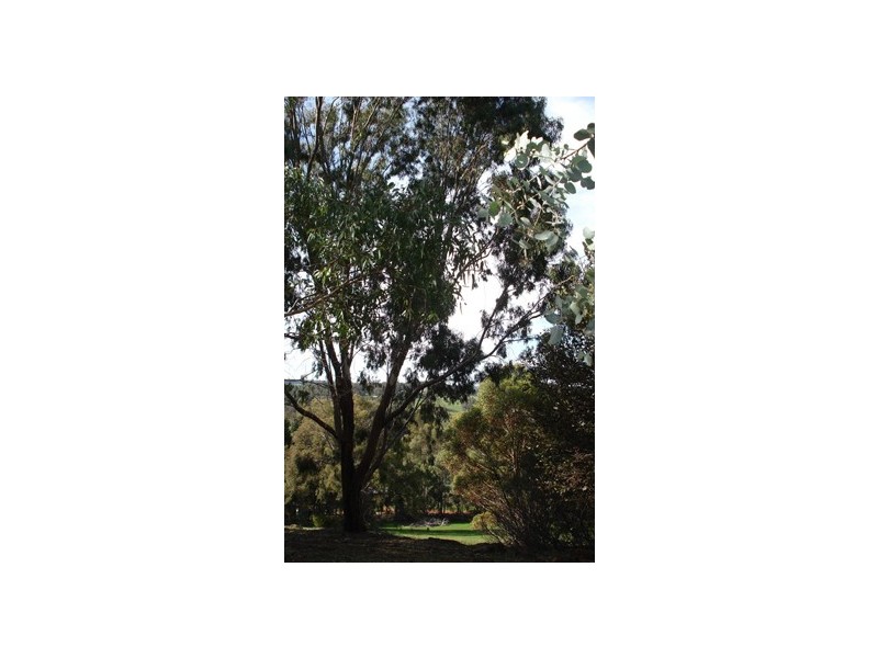 Lot 11 Rokewood Heights, Bridgetown WA 6255