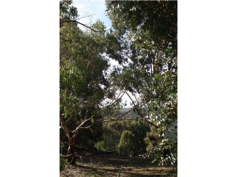 Lot 11 Rokewood Heights, Bridgetown WA 6255