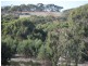 Lot 11 Cantabilling Road, Hill River WA 6521