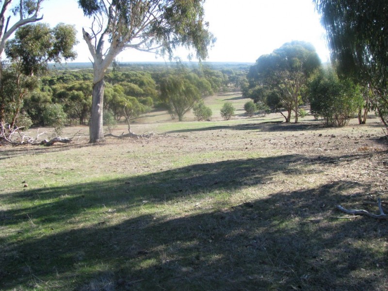 Lot 11 Cantabilling Road, Hill River WA 6521