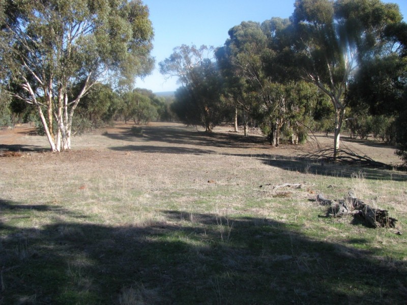 Lot 11 Cantabilling Road, Hill River WA 6521