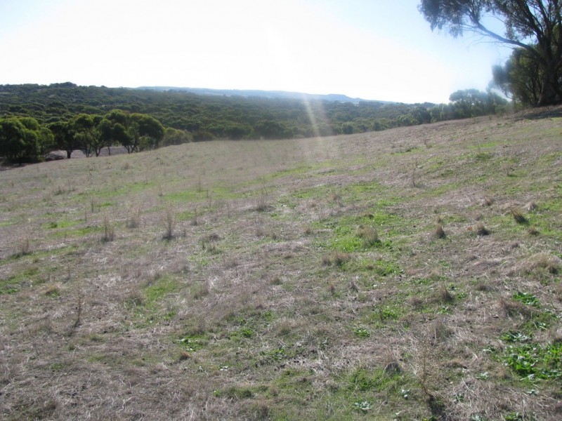 Lot 11 Cantabilling Road, Hill River WA 6521