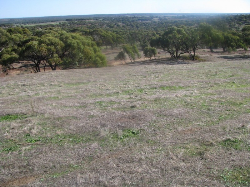 Lot 11 Cantabilling Road, Hill River WA 6521