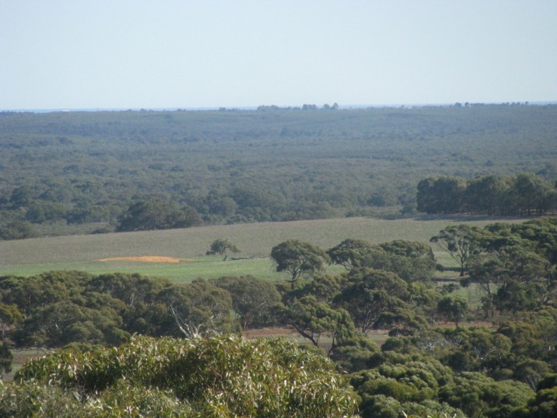 Lot 11 Cantabilling Road, Hill River WA 6521