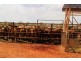‘Emu Creek Station’, Yannarie WA 6710