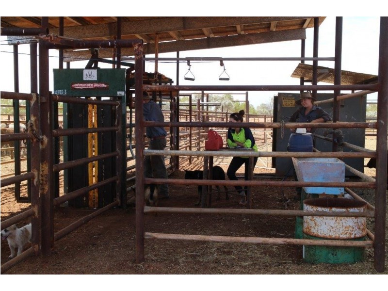 ‘Emu Creek Station’, Yannarie WA 6710