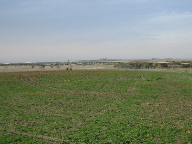 ‘Koojan Downs’ Boundary Road, Yathroo WA 6507