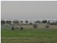 ‘Koojan Downs’ Boundary Road, Yathroo WA 6507