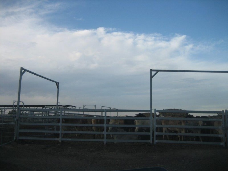 ‘Koojan Downs’ Boundary Road, Yathroo WA 6507