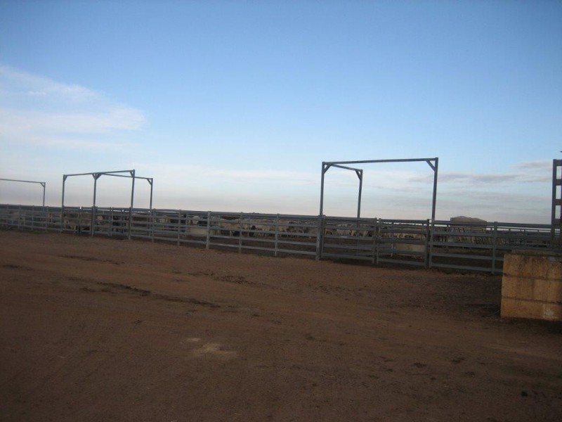 ‘Koojan Downs’ Boundary Road, Yathroo WA 6507