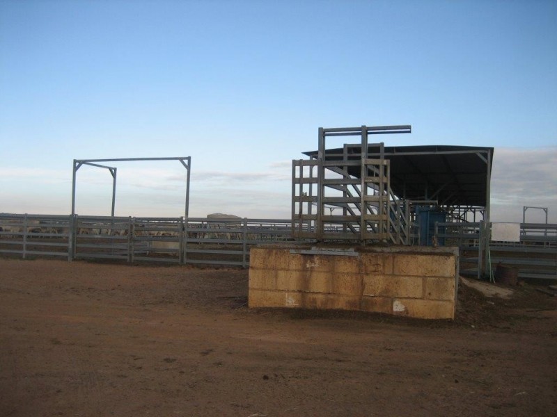 ‘Koojan Downs’ Boundary Road, Yathroo WA 6507