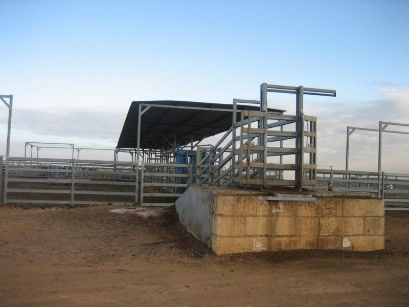 ‘Koojan Downs’ Boundary Road, Yathroo WA 6507