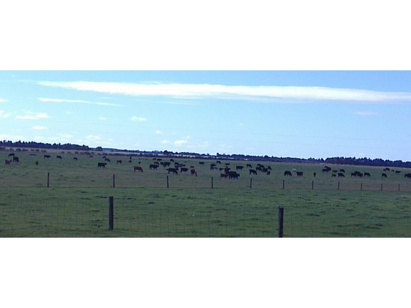 Lot 745 Bates Road, Monjingup WA 6450