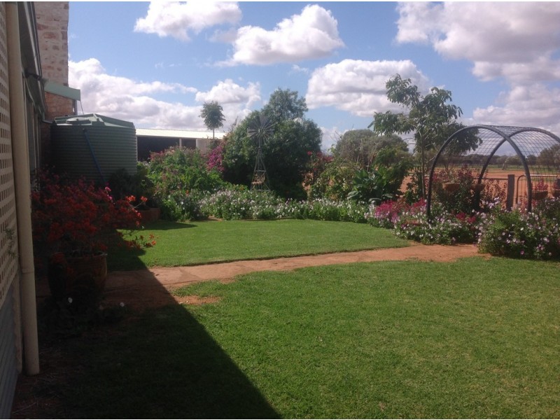 . ‘Melangata Station’ via, Yalgoo WA 6635