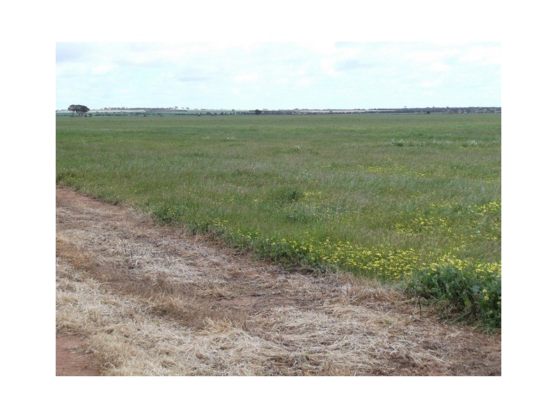 . ‘Nalinga’, Gabbin WA 6476