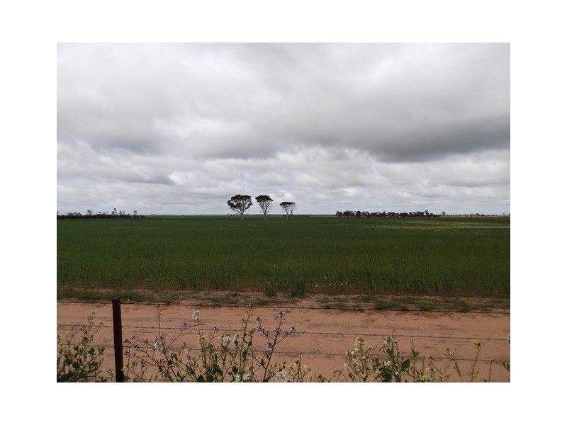 . ‘Nalinga’, Gabbin WA 6476