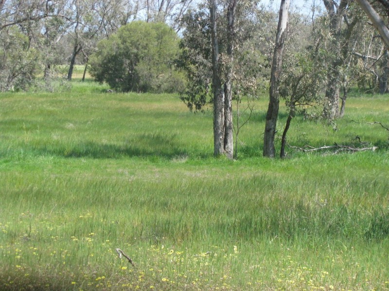 460 Nylagarda Road, Badgingarra WA 6521