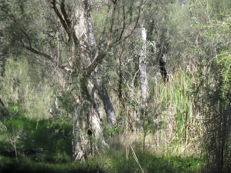 460 Nylagarda Road, Badgingarra WA 6521