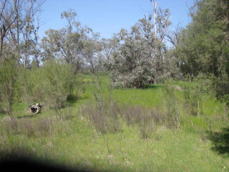 460 Nylagarda Road, Badgingarra WA 6521