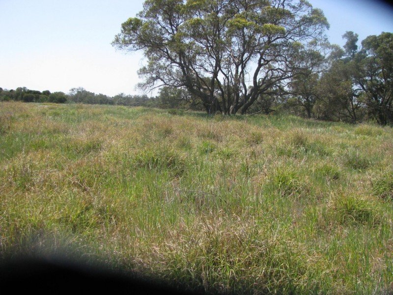 460 Nylagarda Road, Badgingarra WA 6521