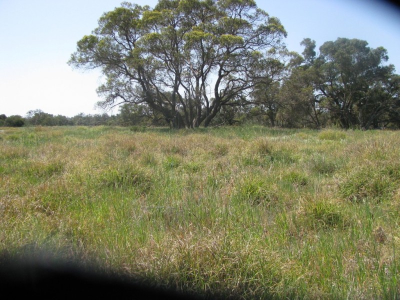 460 Nylagarda Road, Badgingarra WA 6521