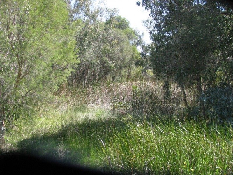 460 Nylagarda Road, Badgingarra WA 6521