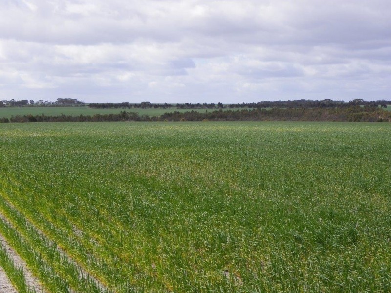 Jerramungup WA 6337