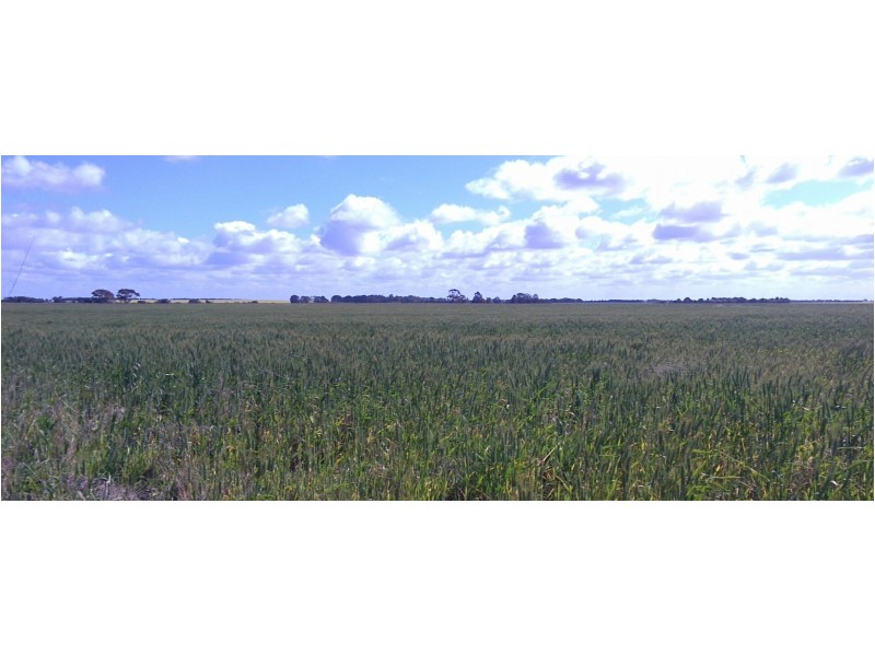 Lot 1555 Coomalbidgup Road, Coomalbidgup WA 6450