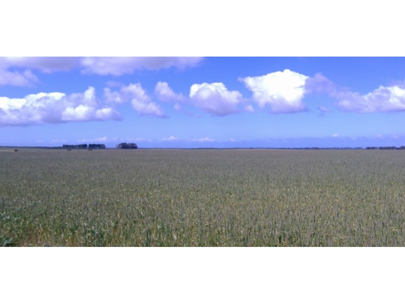 Lot 1555 Coomalbidgup Road, Coomalbidgup WA 6450