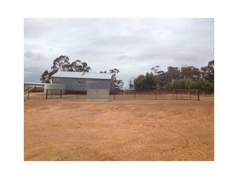 Vermon Hill Wandering-Pingelly Road, Pumphreys Bridge WA 6308