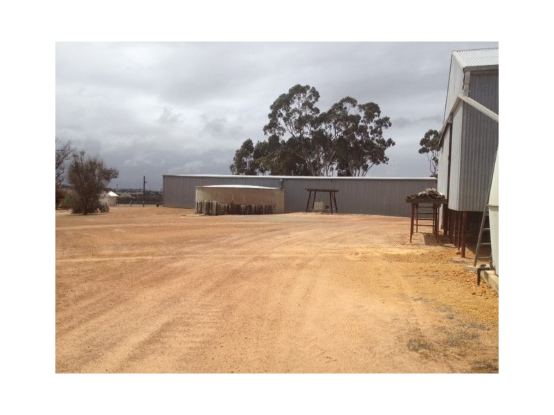 Vermon Hill Wandering-Pingelly Road, Pumphreys Bridge WA 6308