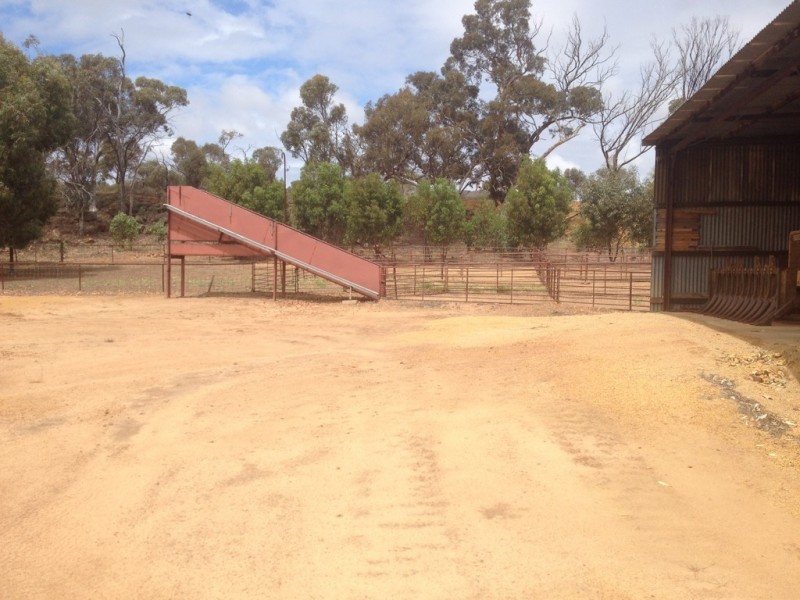 Vermon Hill Wandering-Pingelly Road, Pumphreys Bridge WA 6308