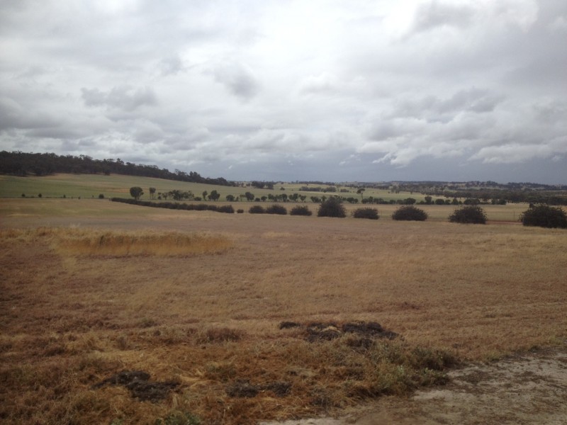 Vermon Hill Wandering-Pingelly Road, Pumphreys Bridge WA 6308
