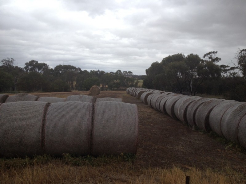 Vermon Hill Wandering-Pingelly Road, Pumphreys Bridge WA 6308