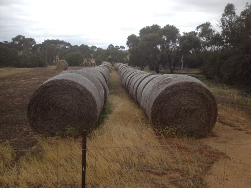 Vermon Hill Wandering-Pingelly Road, Pumphreys Bridge WA 6308