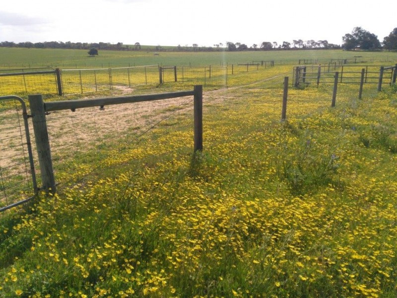 1707 Barberton West Road, Yathroo WA 6507