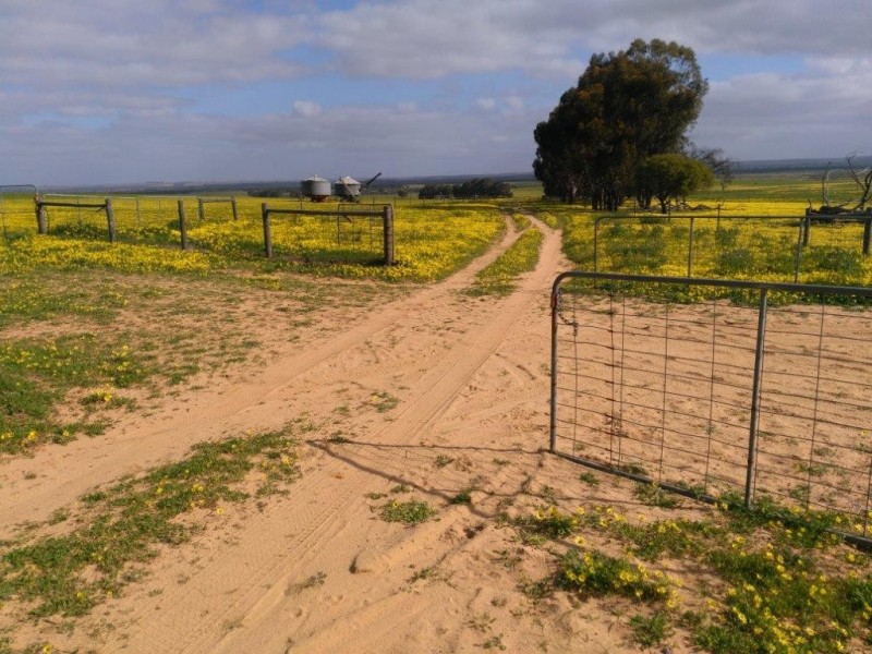 1707 Barberton West Road, Yathroo WA 6507