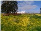 1707 Barberton West Road, Yathroo WA 6507