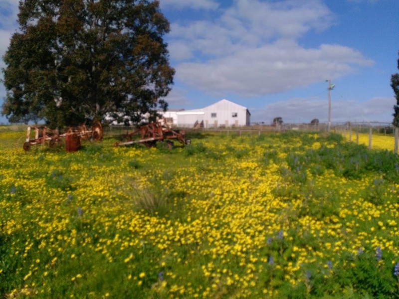1707 Barberton West Road, Yathroo WA 6507
