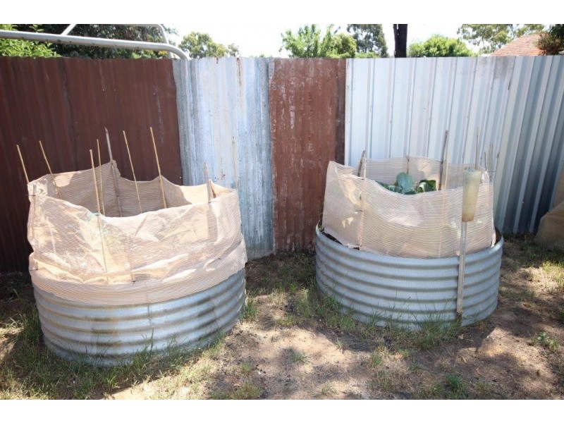 82 Bannister Street, Narrogin WA 6312