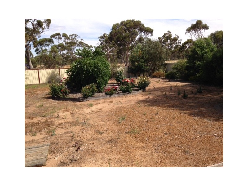 Lot 40 and 41 Parkes Road, Burracoppin WA 6421