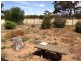 Lot 40 and 41 Parkes Road, Burracoppin WA 6421