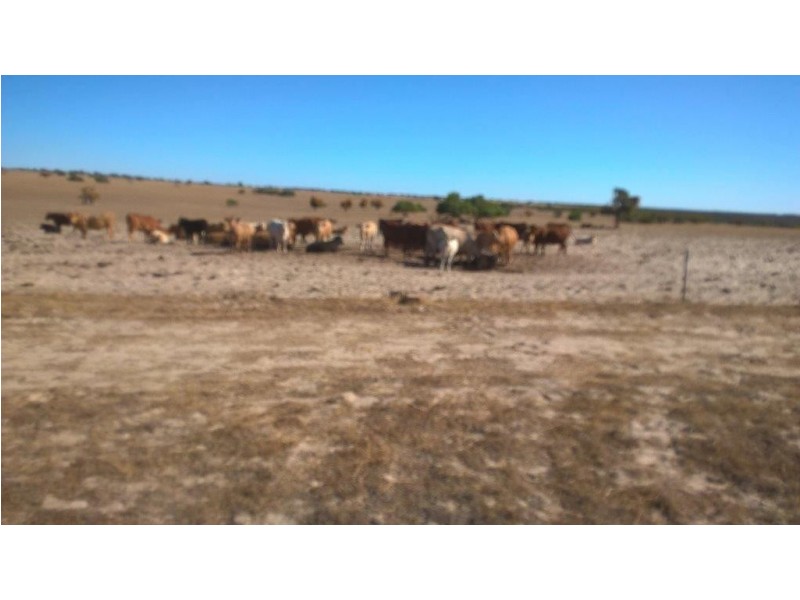 ‘Hallswood’ 2615 Coalara Road, Badgingarra WA 6521