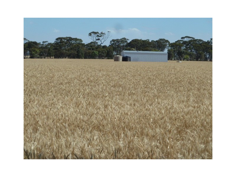 11 Brookton Highway, Corrigin WA 6375