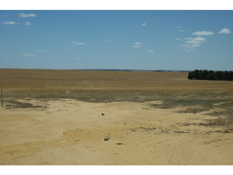 ‘Guivers’ Cnr Hendrik Road and Burracoppin South Rd, Tandegin WA 6415