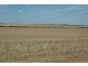 ‘Tandegin’ Lot 25215 Cnr Burke Rd and Tandegin East Road, Tandegin WA 6415