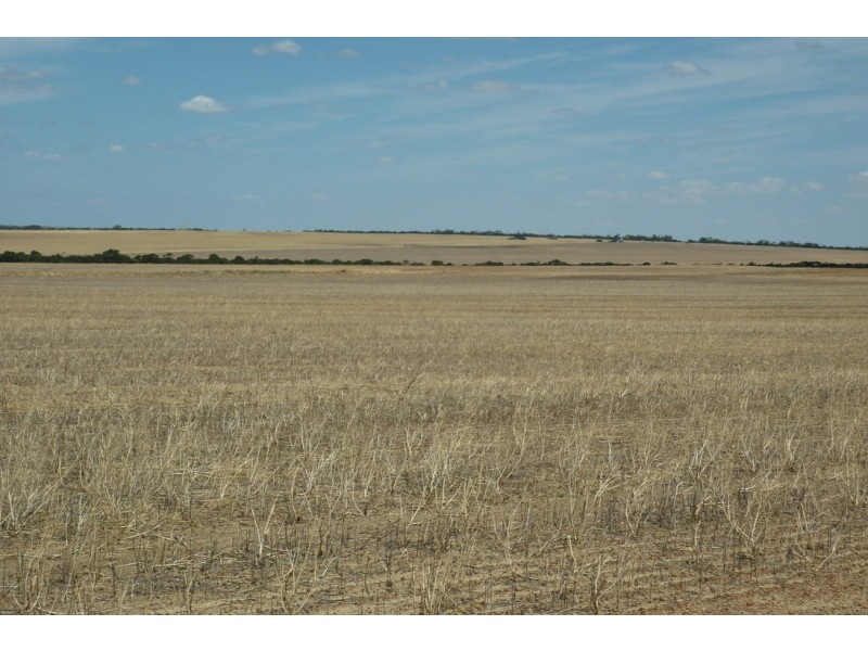 ‘Tandegin’ Lot 25215 Cnr Burke Rd and Tandegin East Road, Tandegin WA 6415