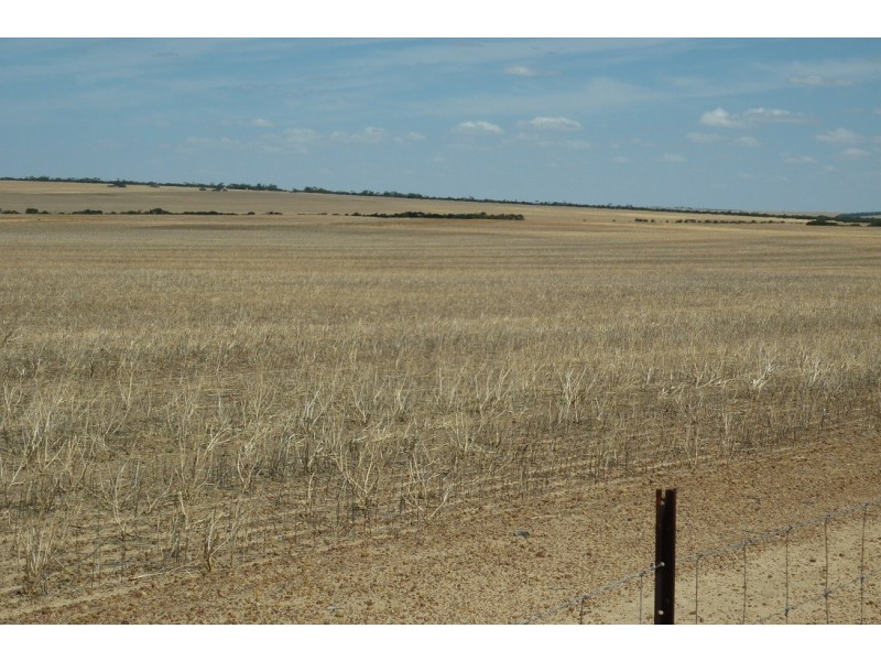 ‘Tandegin’ Lot 25215 Cnr Burke Rd and Tandegin East Road, Tandegin WA 6415