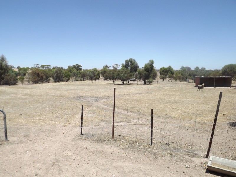 Lot 201 Grange Street, Goomalling WA 6460