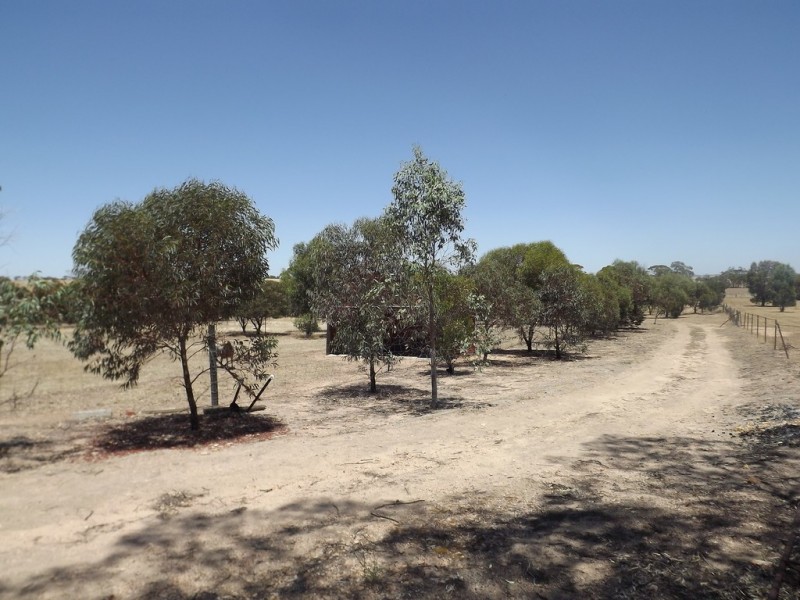 Lot 201 Grange Street, Goomalling WA 6460